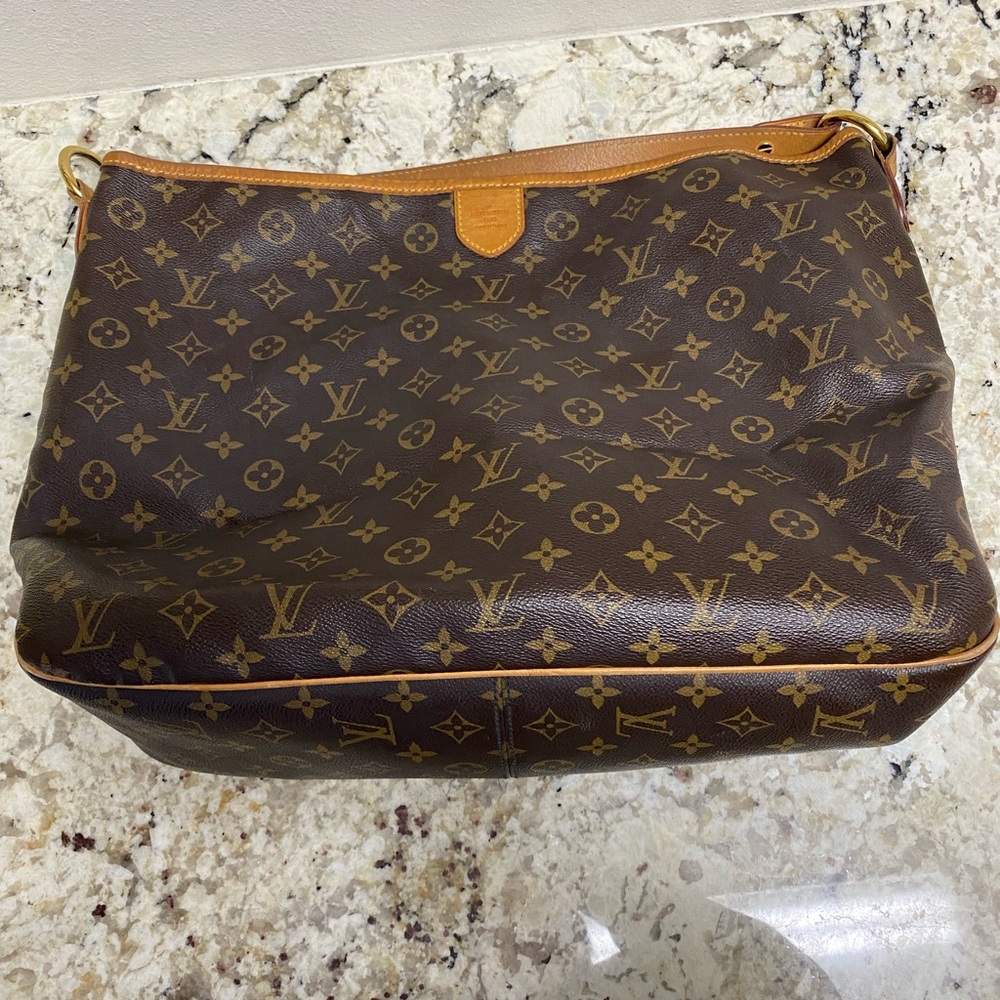Louis Vuitton Delightful Bag